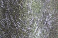 Hayhillock fibreglass roof work